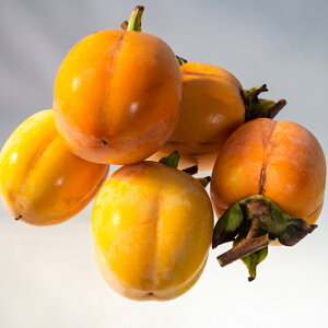 ` c ya` 햳i傤jz 1N ږ |bgc  c ʎ ʎc