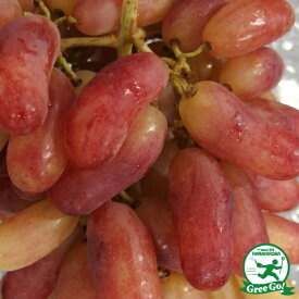 楽天市場 皮 ごと 食べ れる ぶどう 花 ガーデン Diy の通販 楽天市場 皮 ごと 食べ れる ぶどう 花 ガーデン Diy の通販
