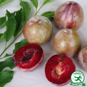 X v c ynj[n[gz 1N ڂ |bgc  c ʎ ʎc