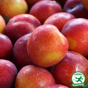 D2Nc X v c ynj[[Uz 2Nc ڂ  c ʎ ʎc