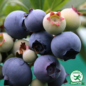  u[x[ c ym[Xh im[UnCubVnj z 2N }ؕc ij[ܕtj c x[ ʎ ʎc kCE͑KpOłB