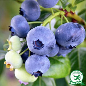  u[x[ c yu[WFC im[UnCubVnj z 2N }ؕc ij[ܕtj c x[ ʎ ʎc kCE͑KpOłB