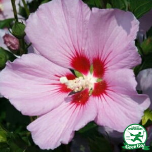  NQ c ysNdz 5|bgc ij[ܕtj ؞ c  t V{c[ kCE͑KpOłB