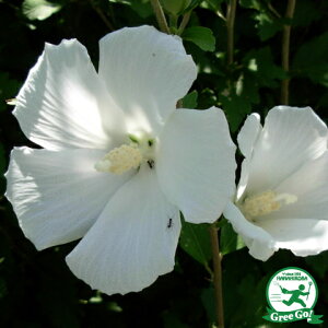  NQ c ydz 5|bgc ij[ܕtj ؞ c  t V{c[ kCE͑KpOłB