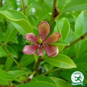  IK^} c yJ^lIK^} |[gC iԉԁjz 5|bgc ij[ܕtj IK^}mL c A Ԗ  Ύ  kCE͑KpO