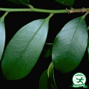  c y{ iق񂳂j I_TJLz c ͔| c A  _ ډB _ Ύ 