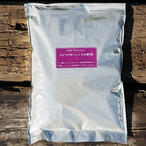 엿 L@ yԂǂp ԂǂȂ엿 iA~m_jz 2kg iWbvtj  엿 Ō`엿 |pi K[fjO G