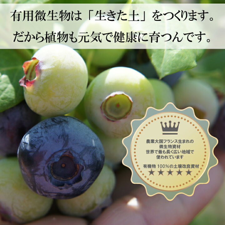 市場 送料無料 プランター 土壌改良 2袋セット オリジナル 培養土 ブルーベリー 28l ブルーベリーの土 14l入り 2袋セット 土
