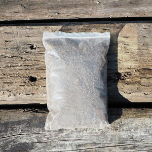  yǍ yySI100ނȂLpQz 1bg ij[ܕtj y |pi K[fjO G kCE͑KpOł