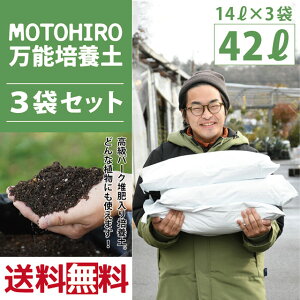  3܃Zbg |{y yMOTOHIRO \|{yz 14L×3܃Zbgi42Lj ꌧY  ʎ py y A A InA v^[ |pi K[fjO  kC