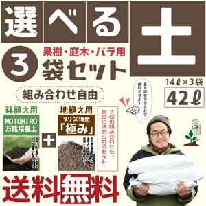  Iׂy3܃Zbg y|{yuMOTOHIRO \|{yvƑ͔uɂ݁vIׂIy3܃Zbgz 14L×3=42L  ʎ py n n͔  y nA A K[fj