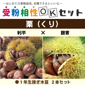  I c yI2i 󕲑OKZbg  × z 1N ڂؕc ×2{Zbg ij[ܕtj  c ʎ ʎc 󕲎Zbg kCE͑KpOłB