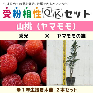 } c y}2i 󕲑OKZbg G × }̗Yz 1N ڂؕc ×2{ZbgR c }̖ ʎc ʎc