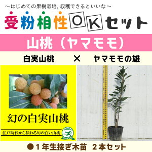 } c y}2i 󕲑OKZbg R × }̗Yz 1N ڂؕc ×2{ZbgR c }̖ ʎc ʎc 