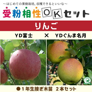 ������������ ��� �c�� �y���2�i�� �󕲑���OK�Z�b�g YD�x�m × YD����ܖ����z 1�N�� �ڂ��ؕc ×2�{�Z�b�g �i�j�[�����ܕt���j �ь� �c �␫��� �ʎ� �ʎ��c �󕲎��Z�b�g ���k�C���E��