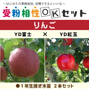 ��� �c�� �y���2�i�� �󕲑���OK�Z�b�g YD�x�m × YD�g�ʁz 1�N�� �ڂ��ؕc ×2�{�Z�b�g�ь� �c �␫��� �ʎ� �ʎ��c �󕲎��Z�b�g