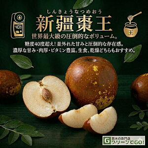 �Ȃ� �c�� �y�V�d���� �i���񂫂傤�Ȃ߂����j�z ��0.7m �|�b�g�c �� �c �ʎ� �ʎ��c