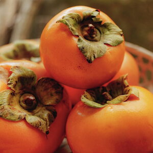 ` c ysSÊ`  i݂܁jz 1N ږ |bgc  c ʎ ʎc