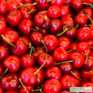  c ybhO[[z 1N ڂؕc  c `F[ ʎ ʎc