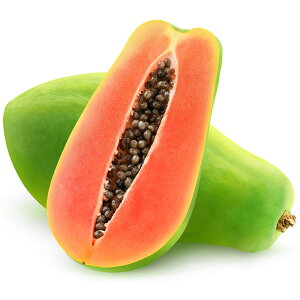 ppC c yViĂ񂱂jz |bgc ppC̖ MѐA gsJt[c  c ʎ ʎc