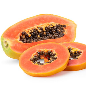 パパイヤ 苗 【トロピカルリッチ】 ポット苗 パパイヤの木 熱帯植物 トロピカルフルーツ 常緑 苗木 果樹 果樹苗