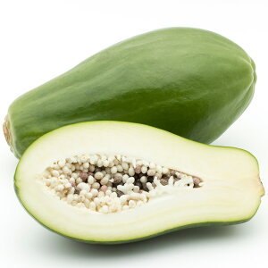 [yVsX艿i] OGO!H̃K[fjOՁ ppC c y_Ci~bNS[hz |bgc ppC̖ MѐA gsJt[c  c ʎ ʎc