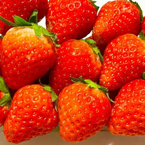  c y i݂jz 3|bgc   ͔| ƒ؉ N