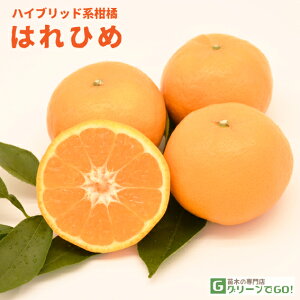D2Nc ݂ c y͂Ђ mo^inz 2Nc ڂ  B c  ʎ k kc ʎc