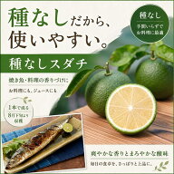 スダチ 苗木 【種なし スダチ】 3年生 接ぎ木 約1.0m 大苗 苗 常緑 果樹 柑橘 香酸柑橘 柑橘苗木 果樹苗木