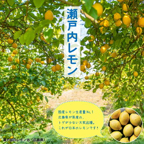 楽天市場 果物の苗物 種類 植物 クリ 収穫時期 春 人気ランキング241位 売れ筋商品
