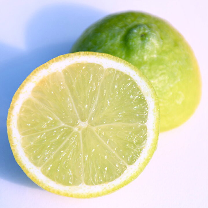 楽天市場 花芽付き 種なしライム フレーバーグリーン 3年生 接ぎ木 花芽付き大苗 オレンジ 蜜柑 みかん 雑柑 苗木 常緑 果樹 柑橘 柑橘苗木 果樹苗木 苗木の専門店 グリーンでｇｏ