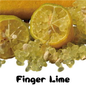  tBK[ C c ytBK[C CG[TVCz 1N J^` ږؕc ij[ܕtj C X̃LrA c ʎ k _k ʎc k