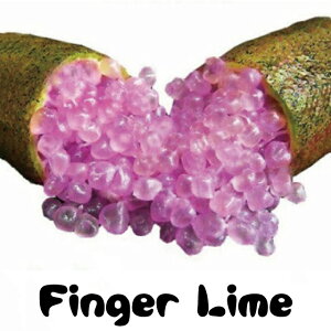 tBK[ C c ytBK[C p[vuXz 1N J^` ږؕc C X̃LrA c ʎ k _k ʎc