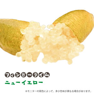 tBK[ C c ytBK[C j[CG[z 1N J^` ږؕc C X̃LrA c ʎ k _k ʎc