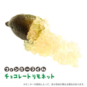 tBK[ C c ytBK[C `R[glbgz 1N J^` ږؕc C X̃LrA c ʎ k _k ʎc