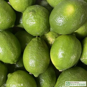  c yz 3N ڂ 1.0m c ̖ pLX^ AbT c  ʎ k kc ʎc