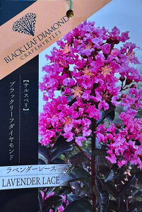 TXx c yubN[t_Ch x_[[Xz 0.9m }ؕc Sg c V{c[  t