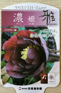 NX}X[Y yZP îЂ߁jz |bgc h N c N ϊ  OhJo[