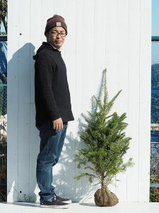 ݂̖ c yEW~z 1.0m c ij[ܕtj NX}Xc[ c A  V{c[ jt Ύ  A ~mL kCE͑