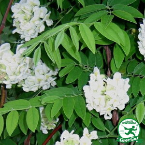  AJ  yjxAz 5|bgc ij[ܕtj tW c  t 鐫 A[` p[S gX kCE͑KpOłB