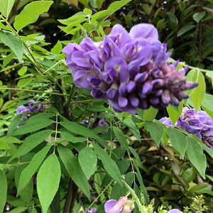 AJ  yAWXgtH[z 5|bgc tW c  t 鐫 A[` p[S gX