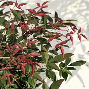  V c yie t[g mo^inz |bgc ij[ܕtj c A  _ ډB OhJo[ gt G Ύ  kCE͑Kp