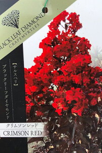 TXx c yubN[t_Ch N\bhz 0.9m }ؕc Sg c V{c[  t