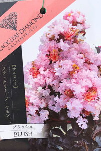 TXx c yubN[t_Ch ubVz 0.9m }ؕc Sg c V{c[  t