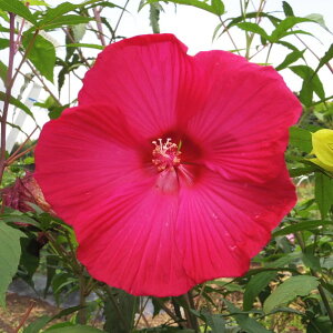 h c yEmX mo^inz |bgc ^C^rJX ԒːA N