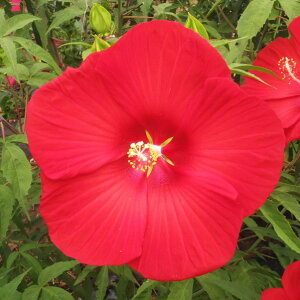 h c ytA mo^inz |bgc ^C^rJX ԒːA N