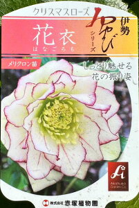 NX}X[Y yԈ i͂Ȃjz |bgc h N c N ϊ  OhJo[