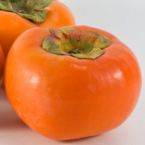 ` c ySÊ` zLi悤قjz 1N ڂؕc  c ʎ ʎc