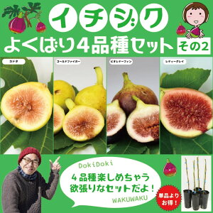 C`WN c yC`WN 悭΂4iZbg 2z1N}ؕc×4i ԉ c ʎ ʎc