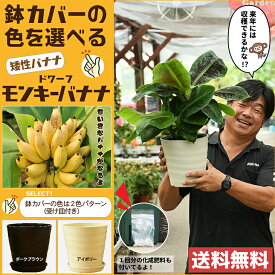 楽天市場 バナナ肥料の通販